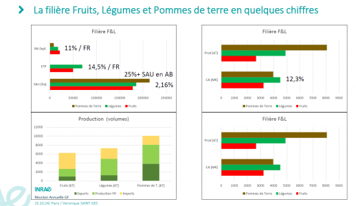 Chiffres clé des enjeux de la Filière Fruits, Légumes et Pomme de Terre