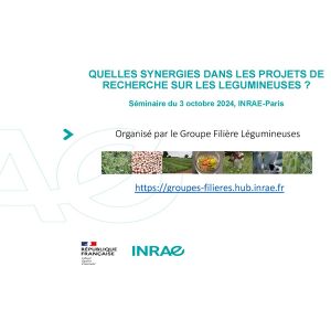 Quelles synérgies dans les projets de recherche sur les légumineuses ?