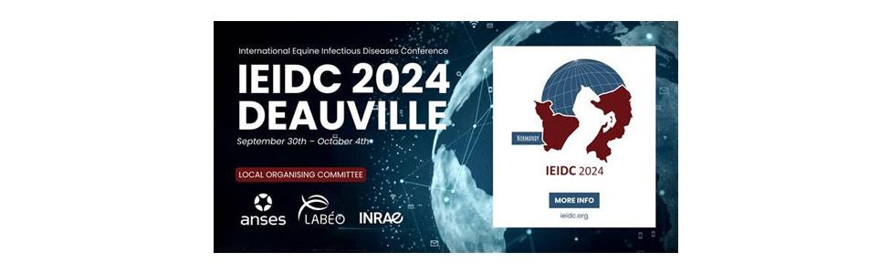 Annonce IEIDC 2024