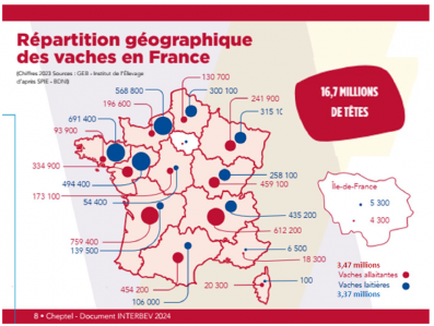 Répartition géographique des vaches en France