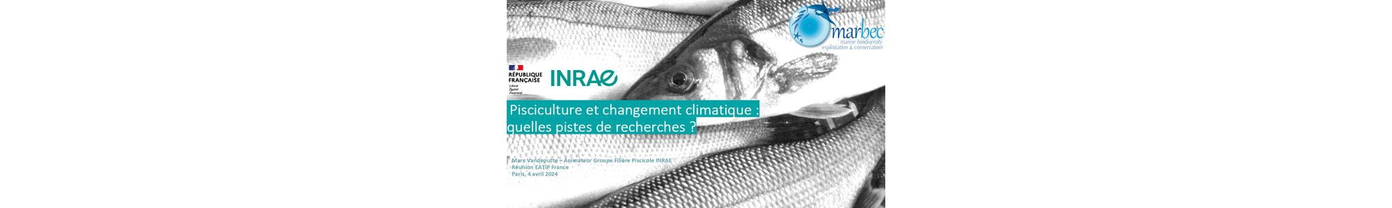 Pisciculture et changement climatique : quelles pistes de recherches ?
