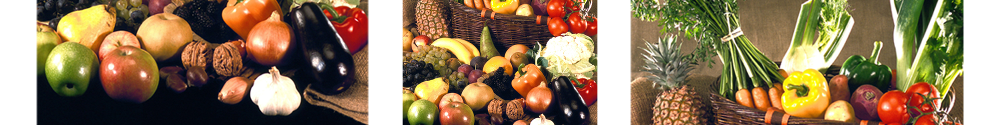 Filière Fruits, Légumes et Pommes de Terre