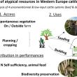 Atypical resources in Western Europe cattle systems