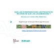 Quelles synérgies dans les projets de recherche sur les légumineuses ?