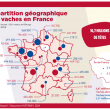 Répartition géographique des vaches en France