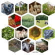 Agroecologie et marché