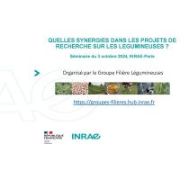 Quelles synérgies dans les projets de recherche sur les légumineuses ?