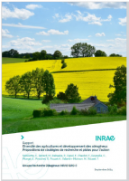 Rapport Diversité des agricultures en Oléagineux